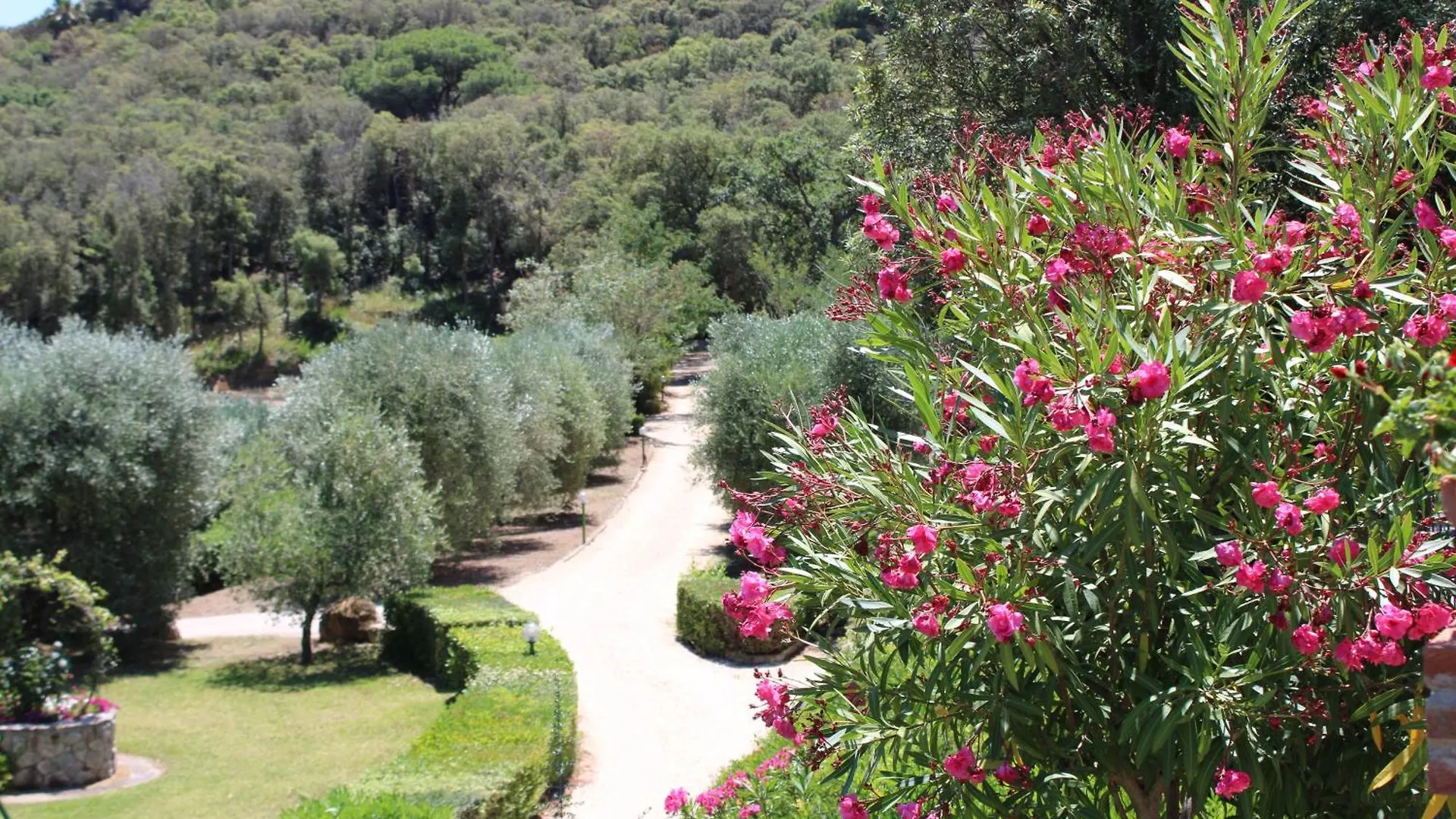 C'Era Una Volta Frantoio Villa Capoliveri  Italy