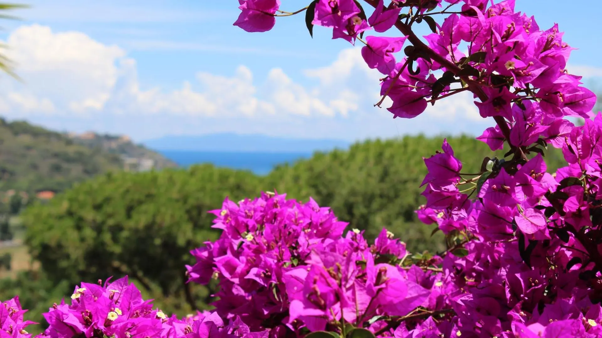 C'Era Una Volta Frantoio Villa Capoliveri  0*, Capoliveri (Isola d'Elba) Italy