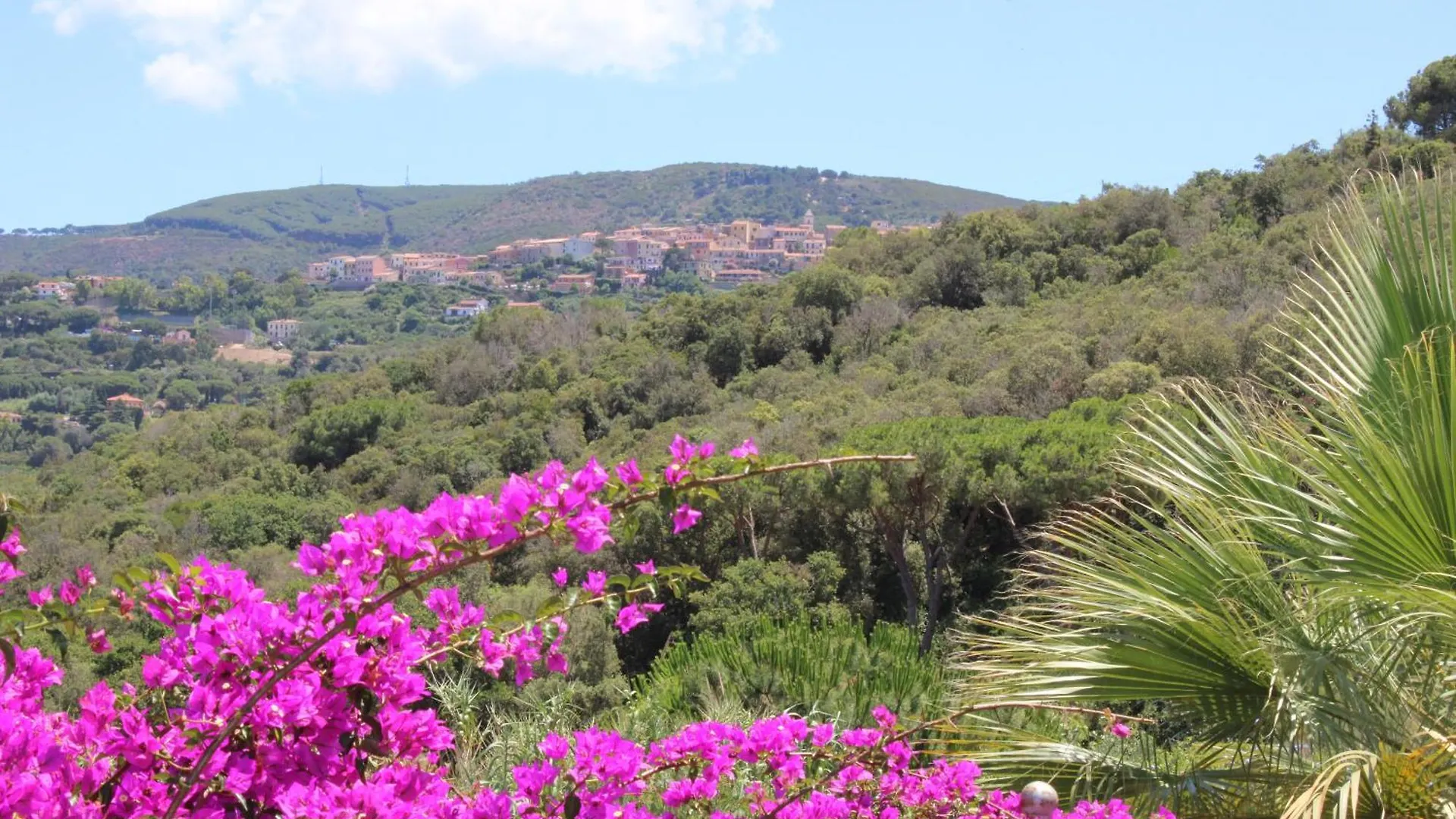 C'Era Una Volta Frantoio Villa Capoliveri  Capoliveri (Isola d'Elba)