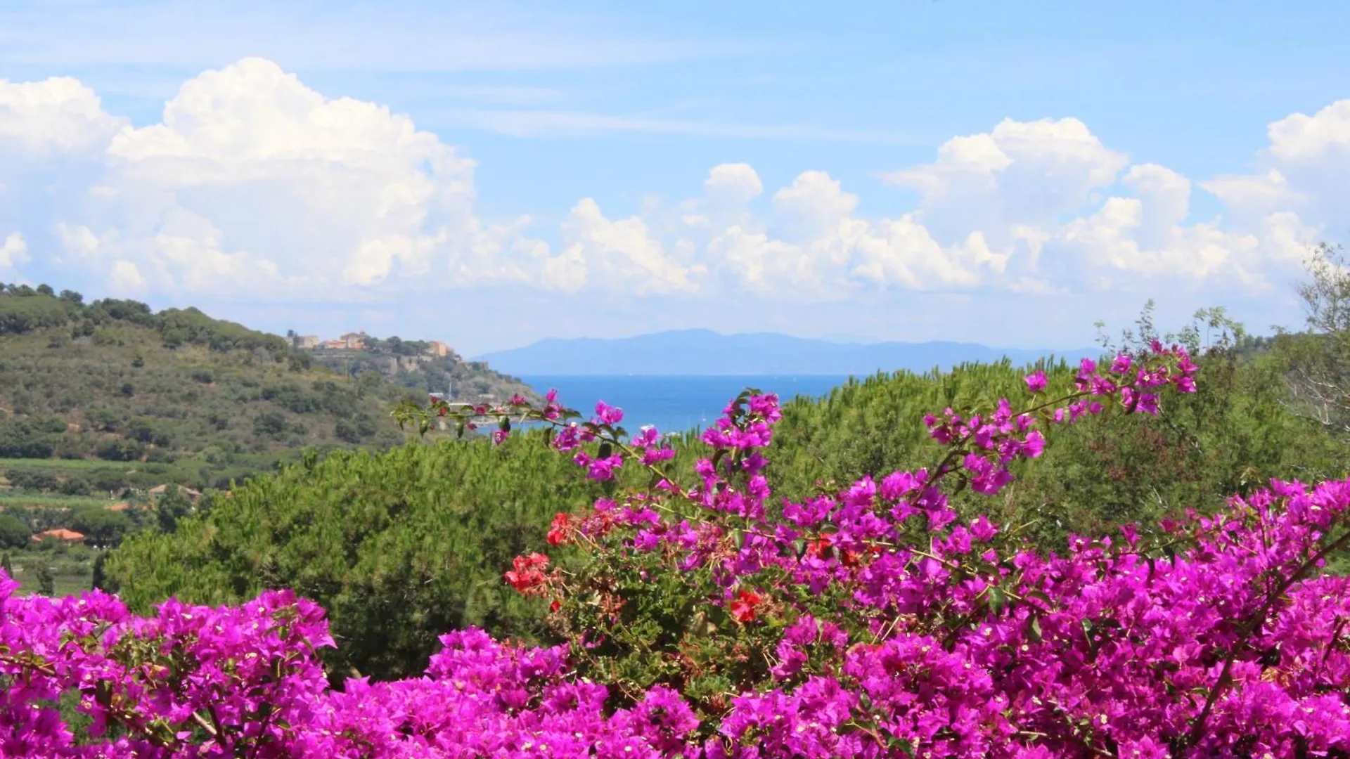 C'Era Una Volta Frantoio Villa Capoliveri  0*, Capoliveri (Isola d'Elba)