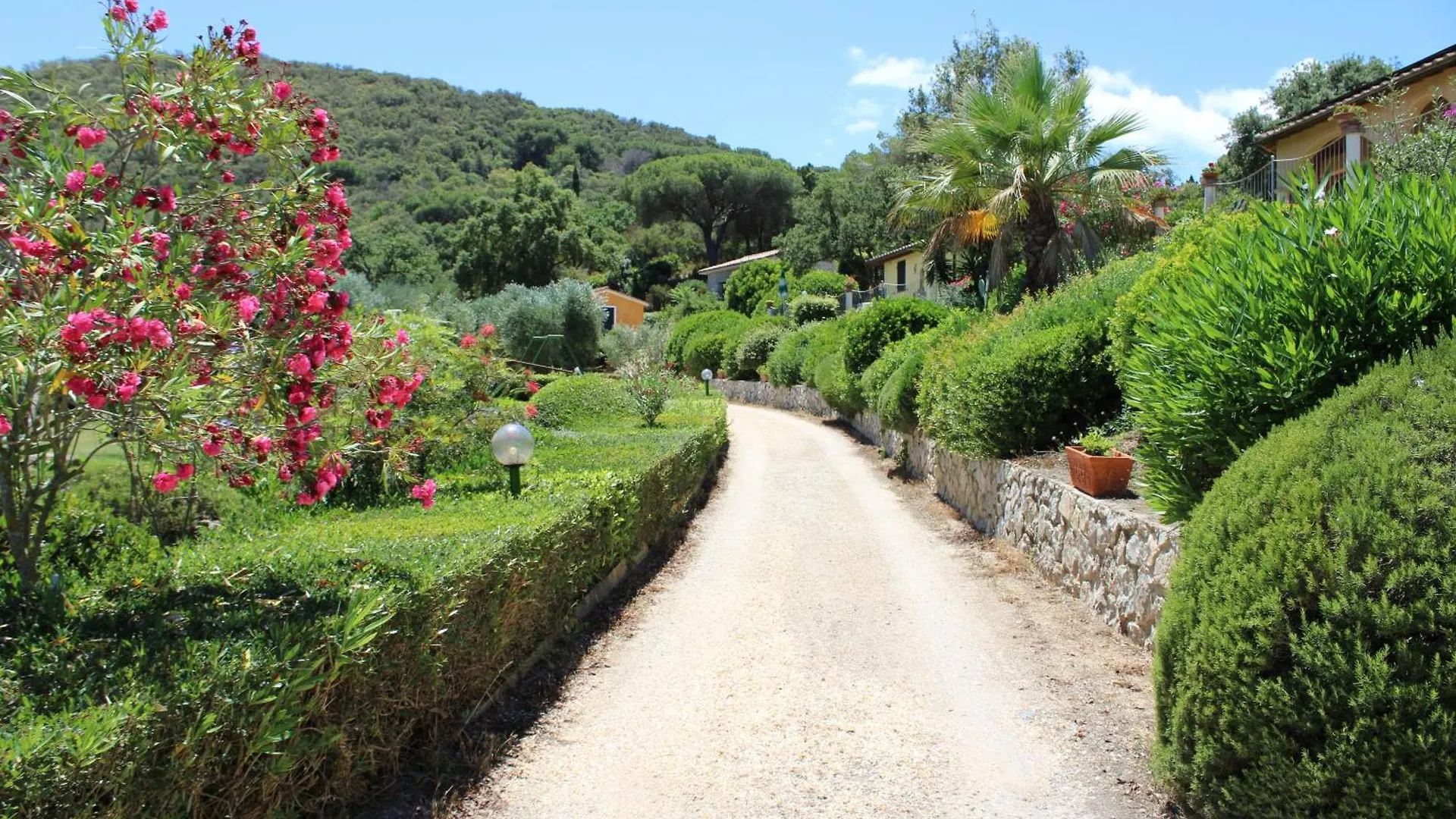 C'Era Una Volta Frantoio Villa Capoliveri