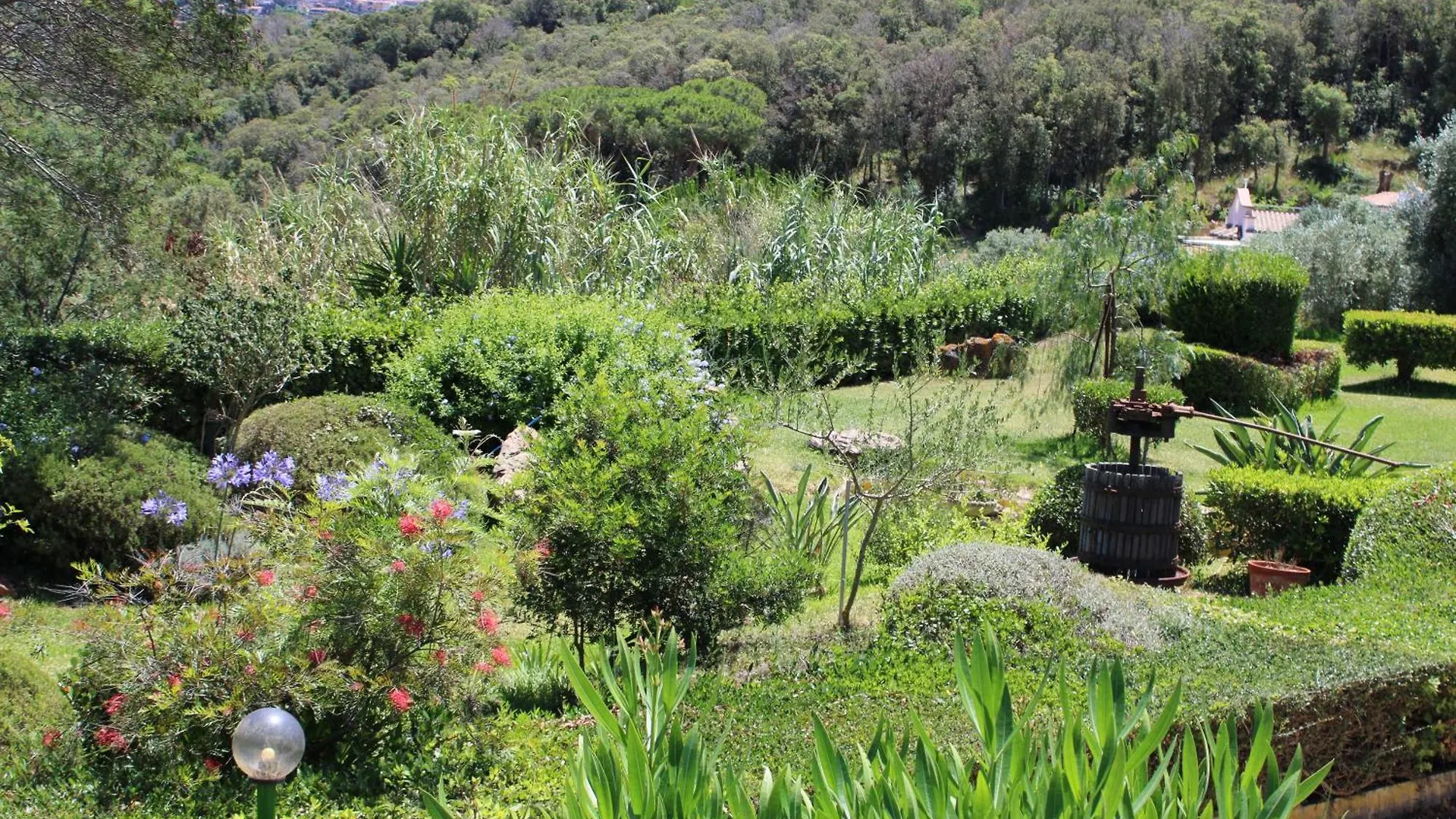 C'Era Una Volta Frantoio Villa Capoliveri  Holiday home Capoliveri (Isola d'Elba)